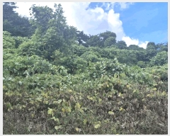  2025Ÿ��1110 �泲 ���걺 ����� ��ġ�� 85-6      ����(�Ӿ�)���