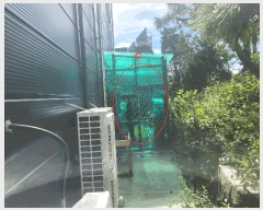  2025Ÿ��1136  �󰡰��