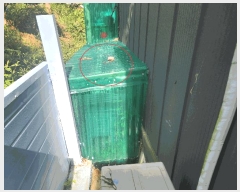  2025Ÿ��1136  �󰡰��