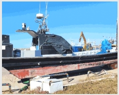  2025Ÿ��1203  ���ڰ��