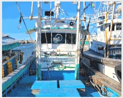  2025Ÿ��1203  ���ڰ��