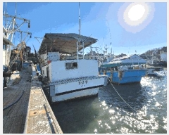  2025Ÿ��1203  ���ڰ��