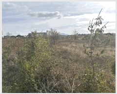  2025Ÿ��1212  ����������