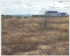  2025Ÿ��1212  ����������