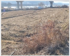  2025Ÿ��15223 �泲 ȫ���� ȫ���� ����� 281      ����(��)���