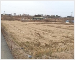  2025Ÿ��15223 �泲 ȫ���� ȫ���� ����� 281      ����(��)���