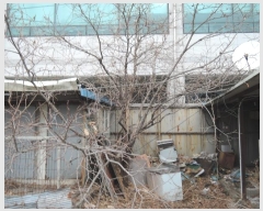  2025Ÿ��15261 �泲 ���ɽ� ��õ�� 486-39       ��,�繫�ǰ��