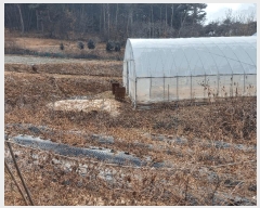  2025Ÿ��15546  �Ӿ߰��