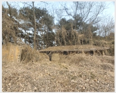  2025Ÿ��15546  �Ӿ߰��