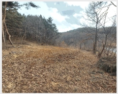  2025Ÿ��15546  �Ӿ߰��