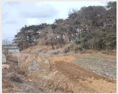  2025Ÿ��15546  �Ӿ߰��