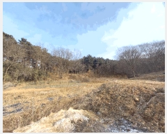  2025Ÿ��15546  �Ӿ߰��