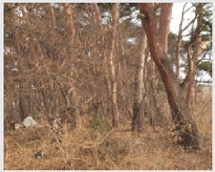  2025Ÿ��15546  �Ӿ߰��