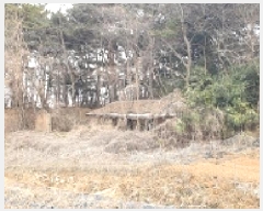  2025Ÿ��15546  �Ӿ߰��