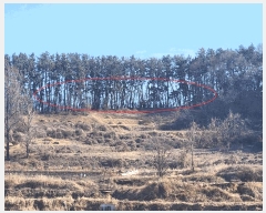  2025Ÿ15550 泲 õ θ  15      (Ӿ)