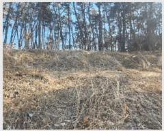  2025Ÿ15550 泲 õ θ  15      (Ӿ)