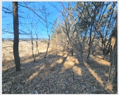  2025Ÿ15550 泲 õ θ  15      (Ӿ)