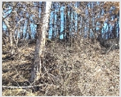  2025Ÿ15550 泲 õ θ  15      (Ӿ)