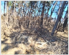  2025Ÿ15550 泲 õ θ  15      (Ӿ)