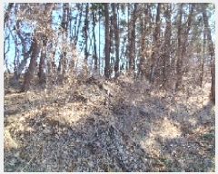  2025Ÿ15550 泲 õ θ  15      (Ӿ)