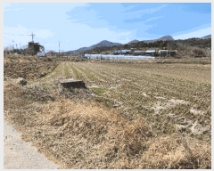  2025Ÿ��15555  ����