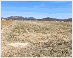  2025Ÿ��15555  ����