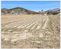  2025Ÿ��15555  ����