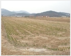  2025Ÿ��15555  ����