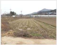  2025Ÿ��15555  ����