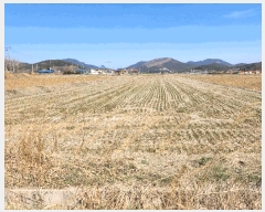  2025Ÿ��15555  ����