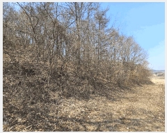  2025Ÿ15560 泲 걺   408-6      (Ӿ)