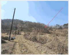  2025Ÿ15560 泲 걺   408-6      (Ӿ)