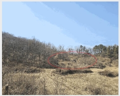  2025Ÿ15560 泲 걺   408-6      (Ӿ)