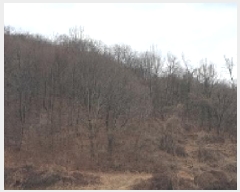  2025Ÿ15560 泲 걺   408-6      (Ӿ)