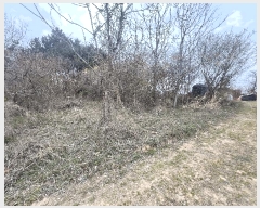  2025Ÿ15591 泲 ɽ õ 굵 734-4      (1)