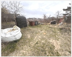  2025Ÿ15591 泲 ɽ õ 굵 734-4      (1)