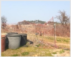  2025Ÿ15591 泲 ɽ õ 굵 734-4      (1)