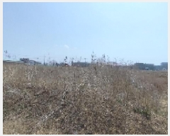  2025Ÿ15596 泲 ɽ 浿 1745       ()