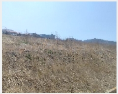  2025Ÿ15596 泲 ɽ 浿 1745       ()