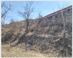  2025Ÿ��15600 �泲 ȫ���� ���� ������ 113      ����(��)���