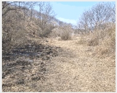  2025Ÿ��15600 �泲 ȫ���� ���� ������ 113      ����(��)���