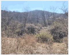  2025Ÿ��15600 �泲 ȫ���� ���� ������ 113      ����(��)���