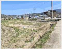  2025Ÿ15611 泲 ɽ õ θ 250      (1)