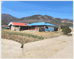  2025Ÿ15611 泲 ɽ õ θ 250      (1)