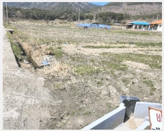  2025Ÿ15611 泲 ɽ õ θ 250      (1)