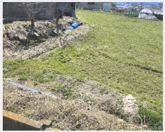  2025Ÿ15611 泲 ɽ õ θ 250      (1)