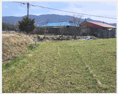  2025Ÿ15611 泲 ɽ õ θ 250      (1)