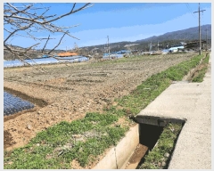  2025Ÿ15611 泲 ɽ õ θ 250      (1)