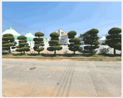  2025Ÿ��15615 �泲 ��õ�� ������ �۸��� 760-24      ����(����)���