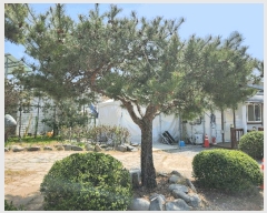  2025Ÿ��15615 �泲 ��õ�� ������ �۸��� 760-24      ����(����)���